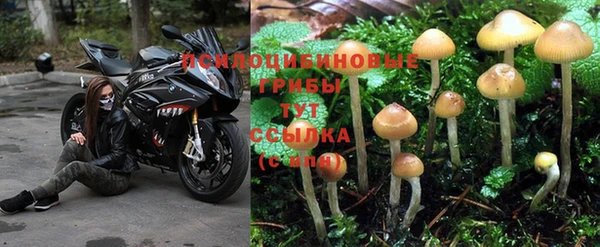 ешки Мегион