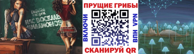 Псилоцибиновые грибы мухоморы  МЕГА онион  Тырныауз 