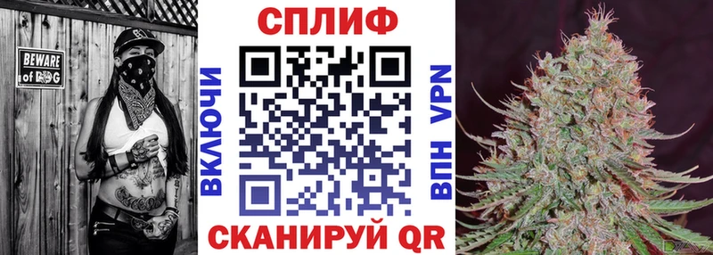 Бошки Шишки конопля Тырныауз